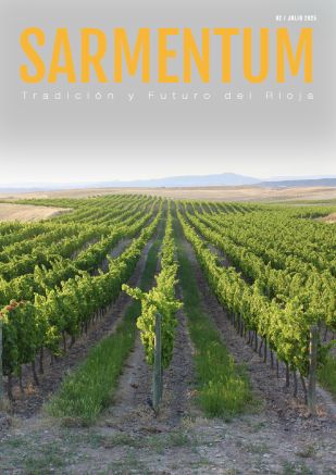 Portada SARMENTUM Nº2