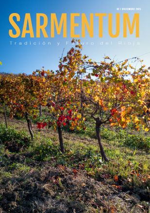 Portada SARMENTUM Nº3