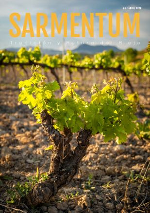 Portada SARMENTUM Nº3